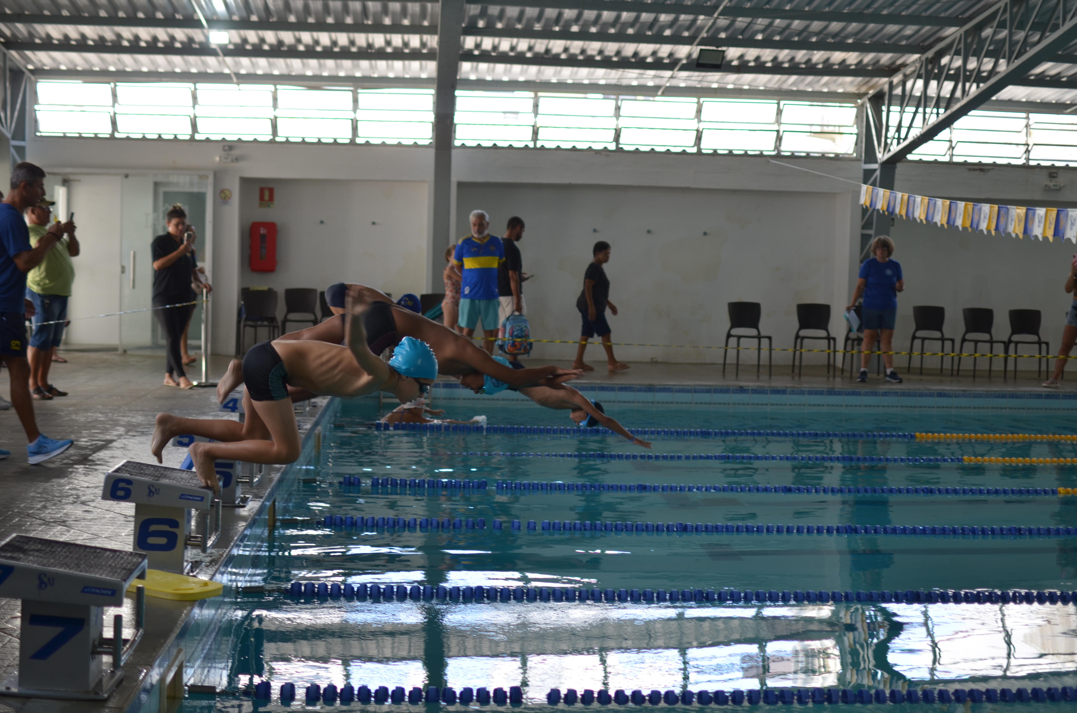 Festival de Natação de Verão - 2026